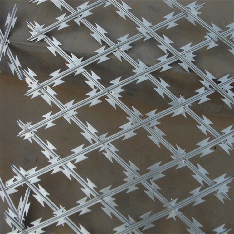 新疆菱形孔刀片防護網